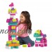 Mega Bloks Big Building Bag (Pink)   555403311